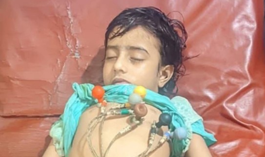 নানাবাড়িতে বেড়াতে গিয়ে প্রাণ গেল আয়েশার
